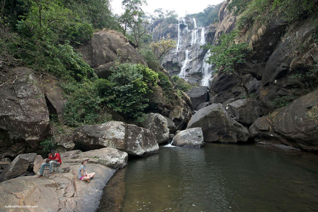 3-Day Mikumi & Udzungwa Mountains Safari Adventure safari image 1